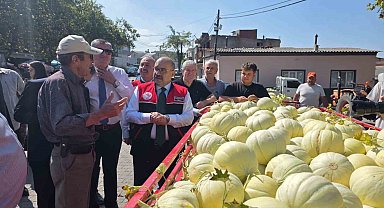 Balıkesir'de ata tohumuyla yetiştirilen beyaz kavunun hasadı başladı