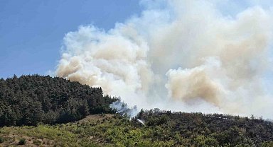 Balıkesir'de otluk alanda başlayan yangın ormana sıçradı