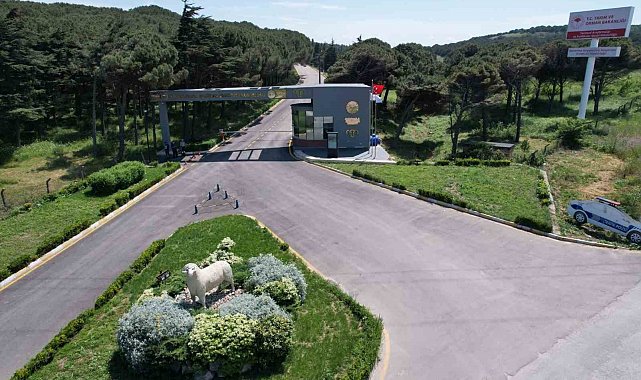 Bandırma Koyunculuk Araştırma Enstitüsü'nün TÜBİTAK projesine destek