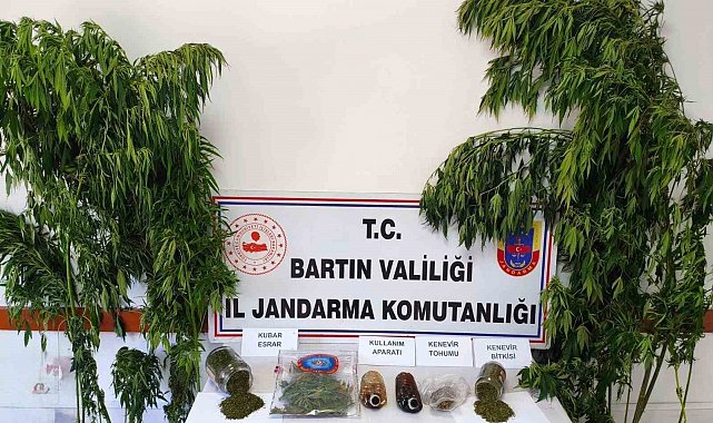 Bartın'da uyuşturucu operasyonu: 1 gözaltı