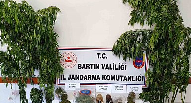 Bartın'da uyuşturucu operasyonu: 1 gözaltı