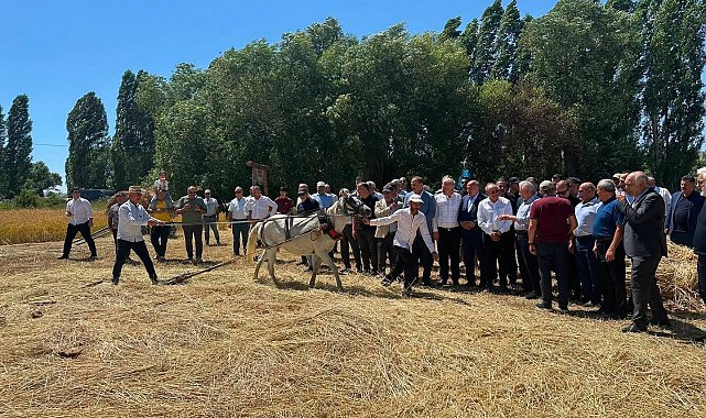 Bayburt'ta Harman Şenliği'nde geleneksel hasat canlandırıldı