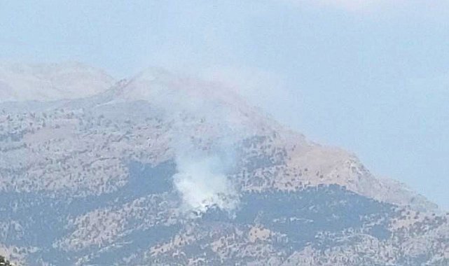 Baykan'da Kalems Dağı'nda yangın
