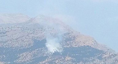 Baykan'da Kalems Dağı'nda yangın