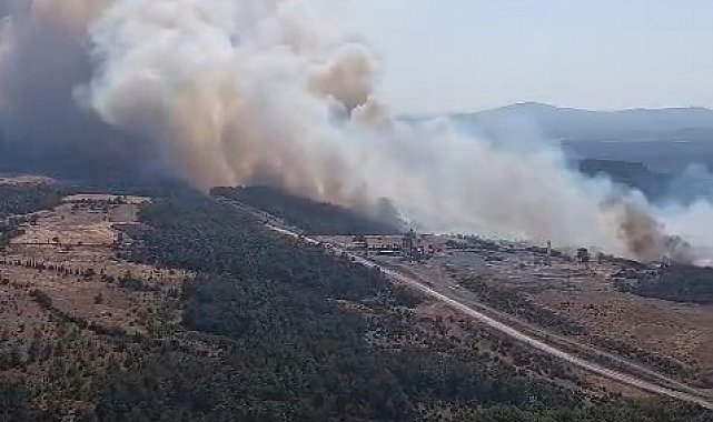Bayramiç'te orman yangını helikopterden görüntülendi