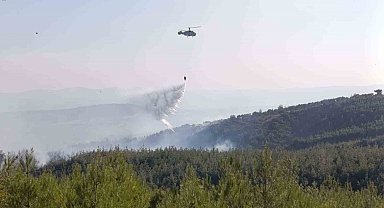 Bayramiç'teki orman yangını büyük ölçüde kontrol altında