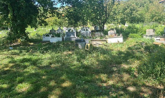 Bebek cesedi gömüldüğü ihbar edilen yere kedi gömüldüğü ortaya çıktı
