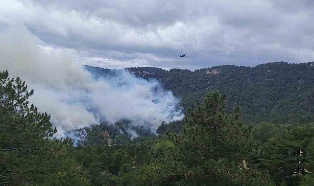 Beşkonak'ta orman yangını: Havadan ve karadan müdahale ediliyor