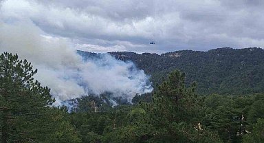 Beşkonak'ta orman yangını: Havadan ve karadan müdahale ediliyor
