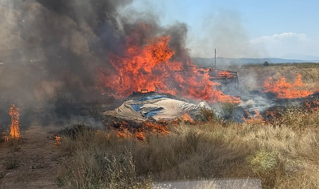 Beyşehir'de alevler ormana sıçramadan söndürüldü
