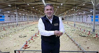 Bilecik 11,5 milyon kanatlı hayvana ev sahipliği yapıyor