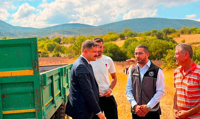 Bilecik'te ayçiçeği ekimi 3 yılda 11 bin 700 dekar arttı