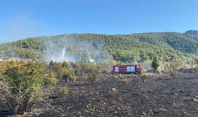 Bilecik'te çıkan tarla yangını ormana sıçramadan söndürüldü