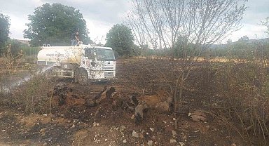 Bilecik'te çıkan yangında balyalar kül oldu