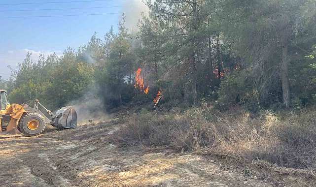 Bilecik'te orman yangını kısmen kontrol altına alındı