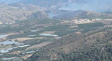 Bilecik'te orman yangını kontrol altına alındı