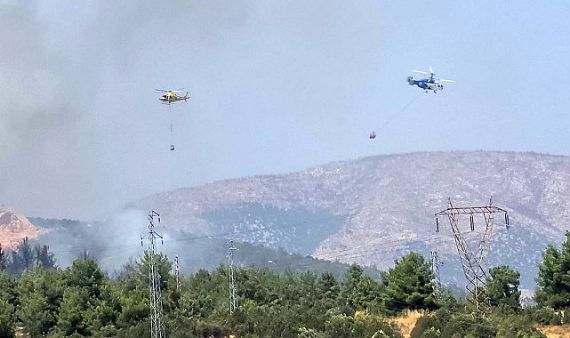 Bilecik'te ormanlık alanda yangın başladı