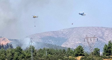 Bilecik'te ormanlık alanda yangın başladı