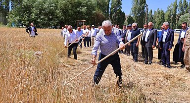 Binali Yıldırım Harman Şenliği'nde tırpan salladı