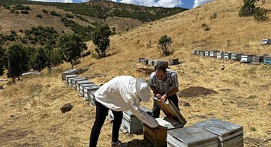 Bingöl'de arıcılara destekleme ve hastalık denetimi