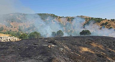Bingöl'de kırsal alanda çıkan yangın söndürüldü
