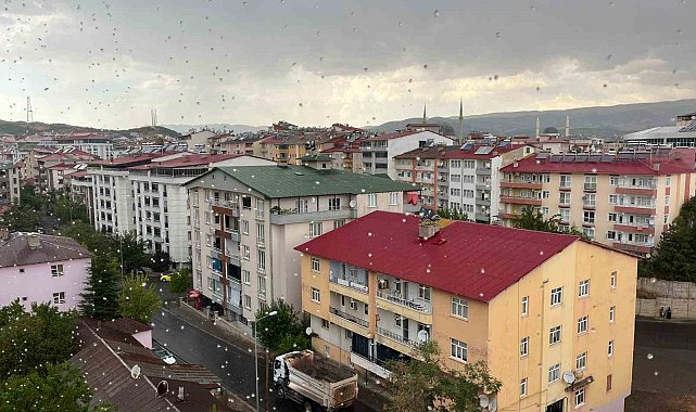 Bingöl'de sağanak yağış etkili oldu