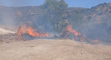 Bir evin bahçesindeki zeytinlik alanda çıkan yangın kısa sürede söndürüldü