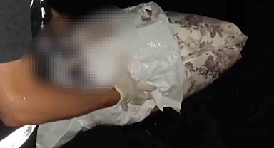 Biri İstanbul'dan uyuşturucu getirirken, diğeri torbacılık yaparken yakalandı