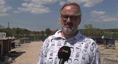 Birkaç köpekle başladı, bin 200 cana yuva oldu