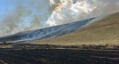 Bitlis'te örtü yangını: 400 dönüm alan küle döndü