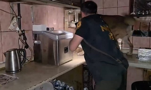 Bitlis'te uyuşturucu operasyonunda 11 tutuklama
