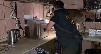 Bitlis'te uyuşturucu operasyonunda 11 tutuklama