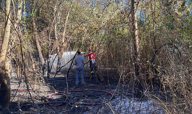 Bodrum Belediyesi ekiplerinden yangınlara müdahale desteği