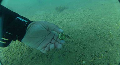 Bodrum'da deniz dibinden çıkanlar şaşırttı: Torba sahilinden 75 kilo atık çıkarıldı