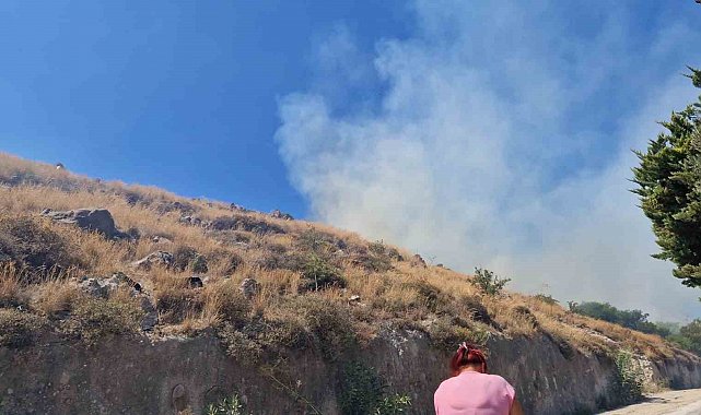 Bodrum'da makilik yangını
