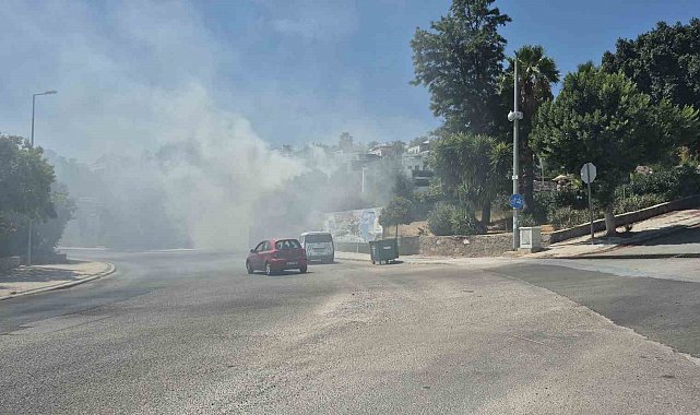 Bodrum'daki yangın büyümeden söndürüldü