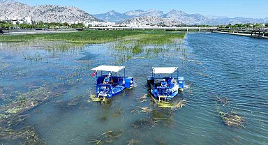 Boğaçayı sucul otlarla kaplandı, "Caretta" ve "Mavi Yengeç" göreve başladı