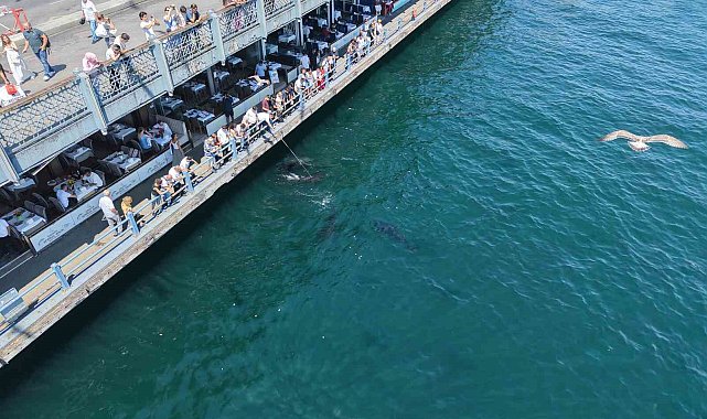 Boğazın devleri Eminönü kıyısında