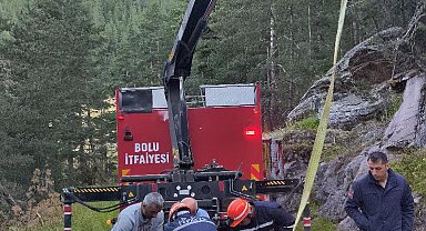 Bolu'da 50 metrelik uçuruma düşen inek vinçle kurtarıldı