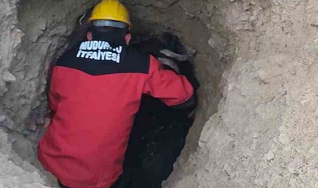 Bolu'da çukurda mahsur kalan keçiyi itfaiye ekipleri kurtardı