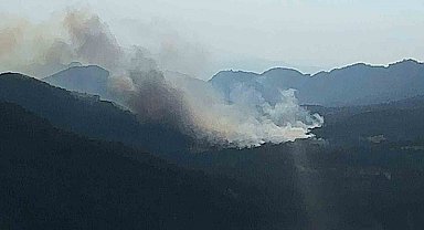 Bolu'da kritik orman yangını uyarısı