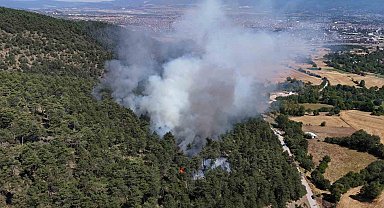 Bolu'da orman yangını başladı