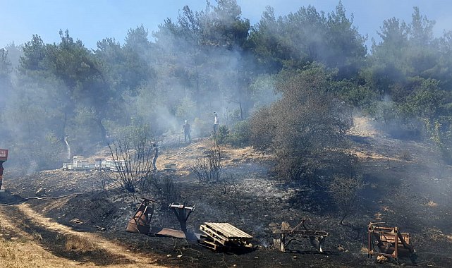 Bolu'da otluk alanda çıkan yangın ormanlık alana sıçramadan söndürüldü