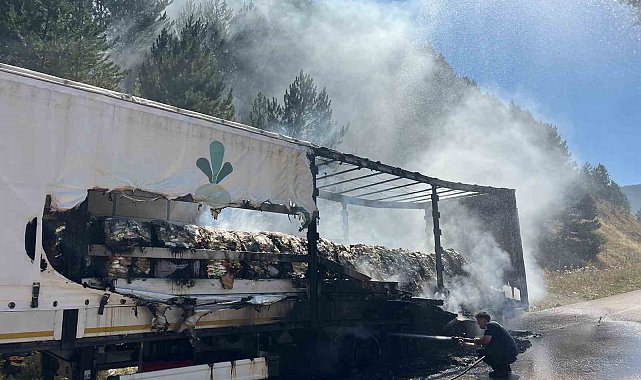 Bolu'da şeker yüklü tır alev aldı, yangın ormana sıçradı