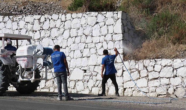 Bozdoğan'da haşereyle mücadele sürüyor