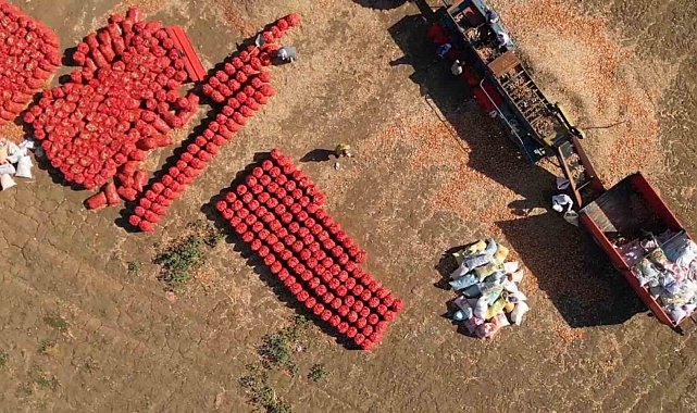 Bu soğan başka soğan: 3 yılda sofraya geliyor, 4 gözlü bereket