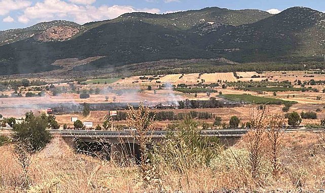 Burdur'da 20 dönümlük otluk alanda yangın
