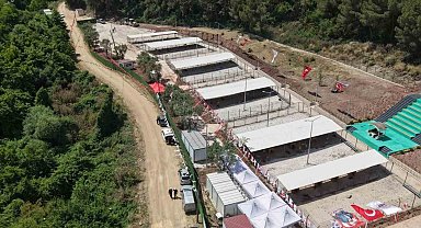 Bursa Hayvan Hakları Platformu'ndan Gemlik Belediyesi'ne tepki: "Kapıları açın"