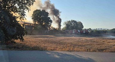 Bursa'da depo ve tarlalık alanda yangın