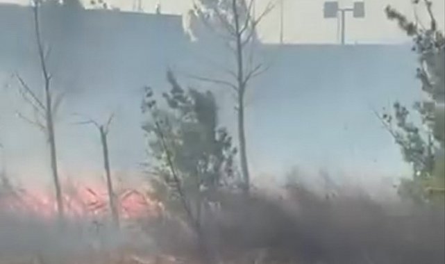 Bursa'da fabrikanın yanındaki arazide korkutan yangın